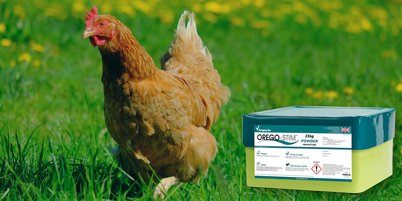 Trial Summary: Orego-Stim Supports a Lower Worm Burden in Free Range Egg Production